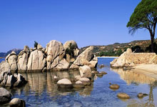 乐鱼官网-横扫之夜，布伦森化身关键先生，上海队力克灰熊创历史